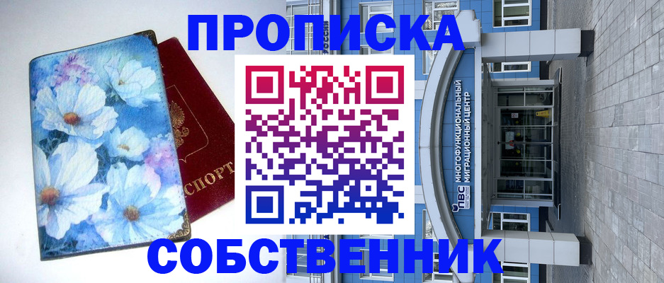 прописка 2025 в Шумихе